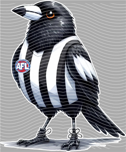 NBA and Team-QD 1423